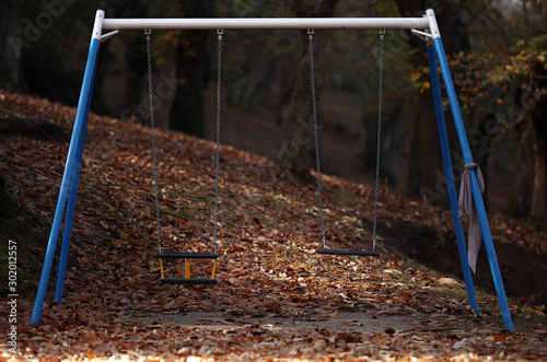 Autunno nel bosco photo