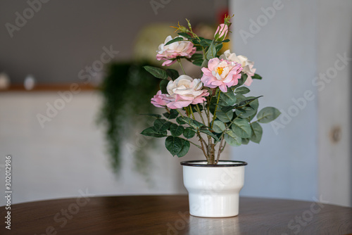 Pink blooming rose in white pot which is used for interior decoration in hotel lobby. Selective focus and close up photo.