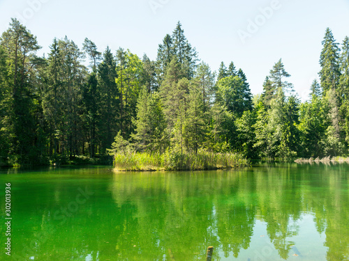 landscape with bright green lake and colorful trees  beautiful summer day  wonderful reflections in the water