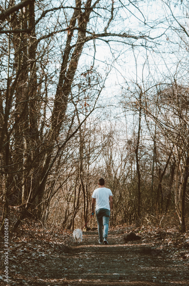 Obraz premium passeggiata nel bosco