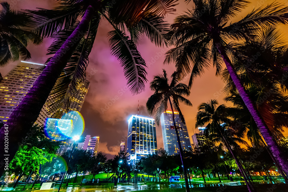 Obraz premium Drapacze chmur i palmy w parku Miami Bayfront