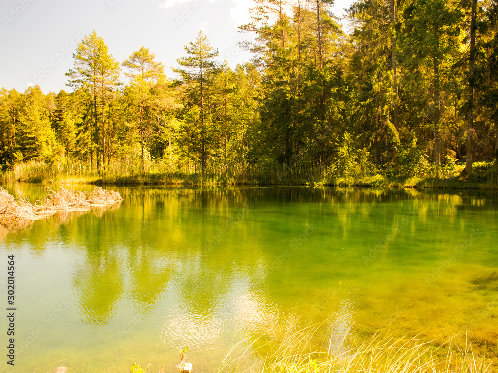 Fototapeta premium landscape with bright green lake and colorful trees, beautiful summer day, wonderful reflections in the water