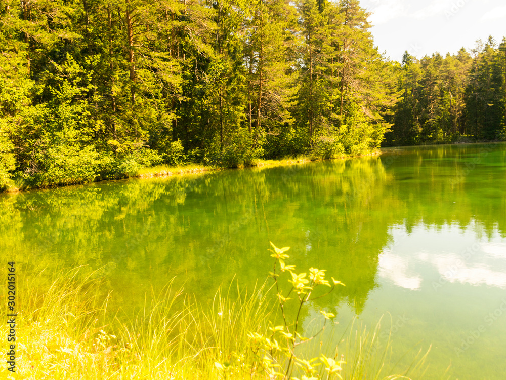 landscape with bright green lake and colorful trees, beautiful summer day, wonderful reflections in the water