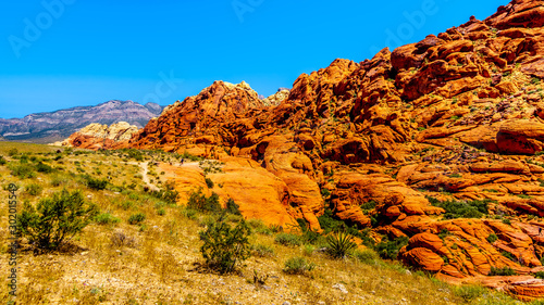 The Red and Yellow Sandstone Cliffs along the Calico Hiking Trail in Red Rock Canyon National Conservation Area near Las Vegas, Nevada, United States