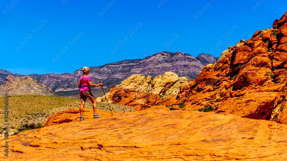 Fototapeta premium Senior woman hiking on the Red Sandstone Cliffs of the Calico Trail in Red Rock Canyon National Conservation Area near Las Vegas, Nevada, United States