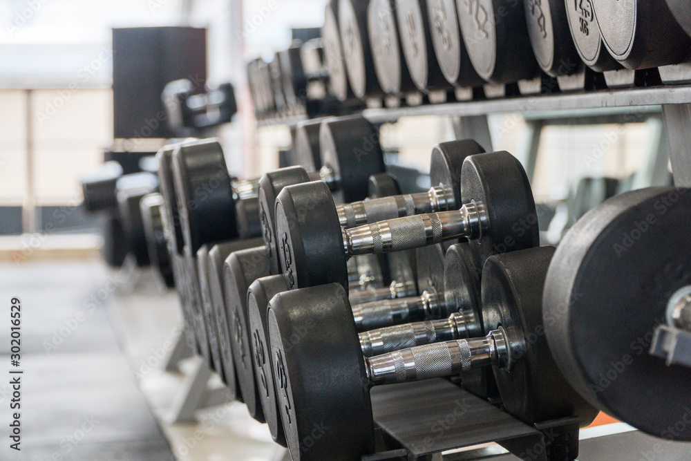 Fototapeta premium row of dumbbells in a modern gym