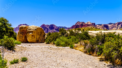 Large cut yellow Sandstone Blocks at the Sandstone Quarry Trail in Red Rock Canyon National Conservation Area near Las Vegas, Nevada, United States