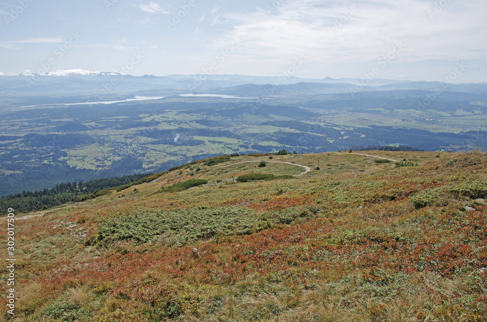 Naklejka premium Pola