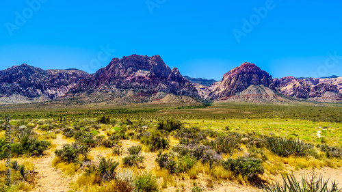Landscape view of White Rock Hills and Wilson Ridge mountains from Red Rock Canyon Overlook in Red Rock Canyon National Conservation Area near Las Vegas, Nevada