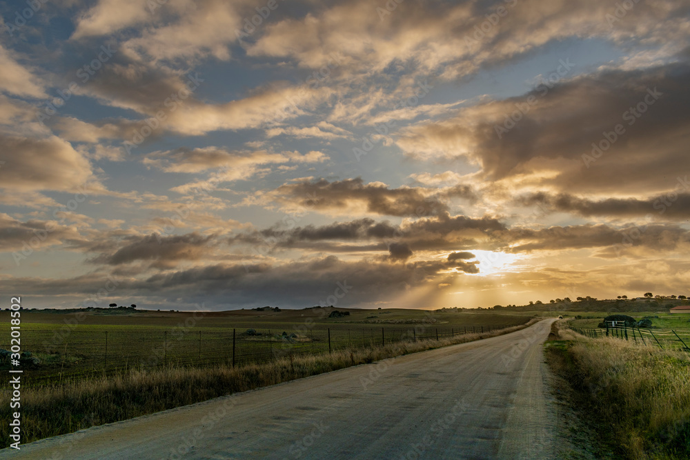 Lonely road in an Extremadura sunset