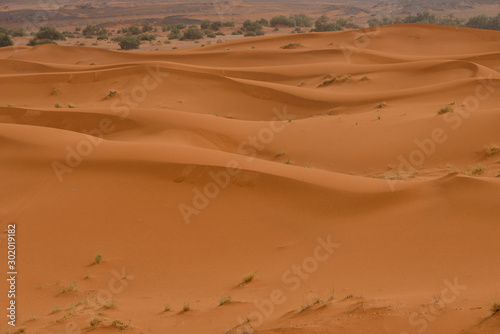 The beauty of the sand dunes in the Sahara Desert in Morocco. The Sahara Desert is the largest hot desert and one of the harshest environments in the world.