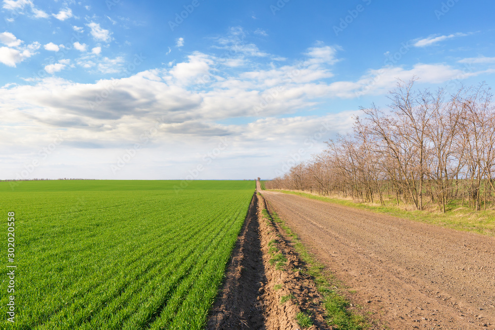 Beautiful drone view from above on the border between two fields, yellow and green color