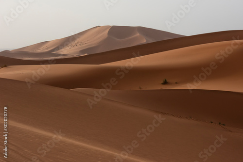 The beauty of the sand dunes in the Sahara Desert in Morocco. The Sahara Desert is the largest hot desert and one of the harshest environments in the world.