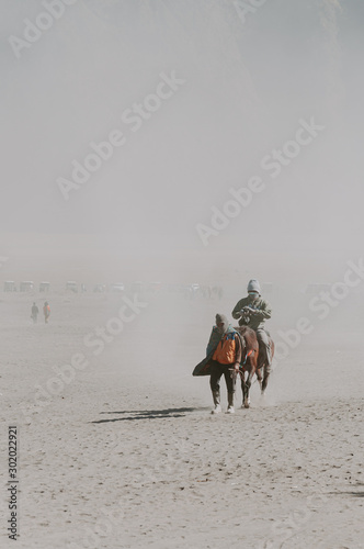 horses on the sea of sand