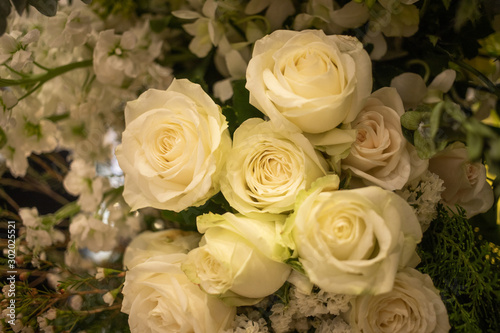 Soft cream white bouquet of rose decorating in wedding event