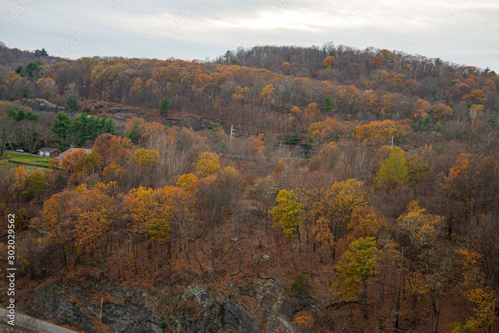 autumn in mountains