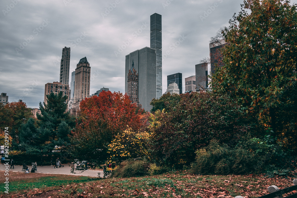 Obraz premium Automne a central park