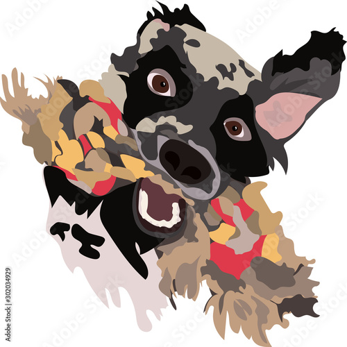 Playful funny dog English setter with a toy in the mouth dog logo 