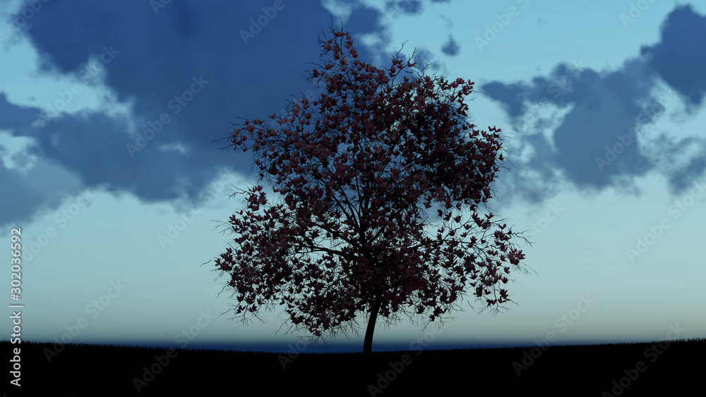 Obraz premium Tree At Night Background 3D Rendering