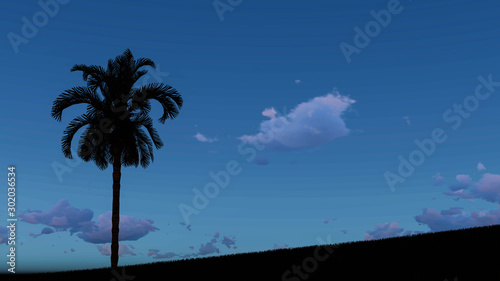 Palm Tree At Night 3D Rendering