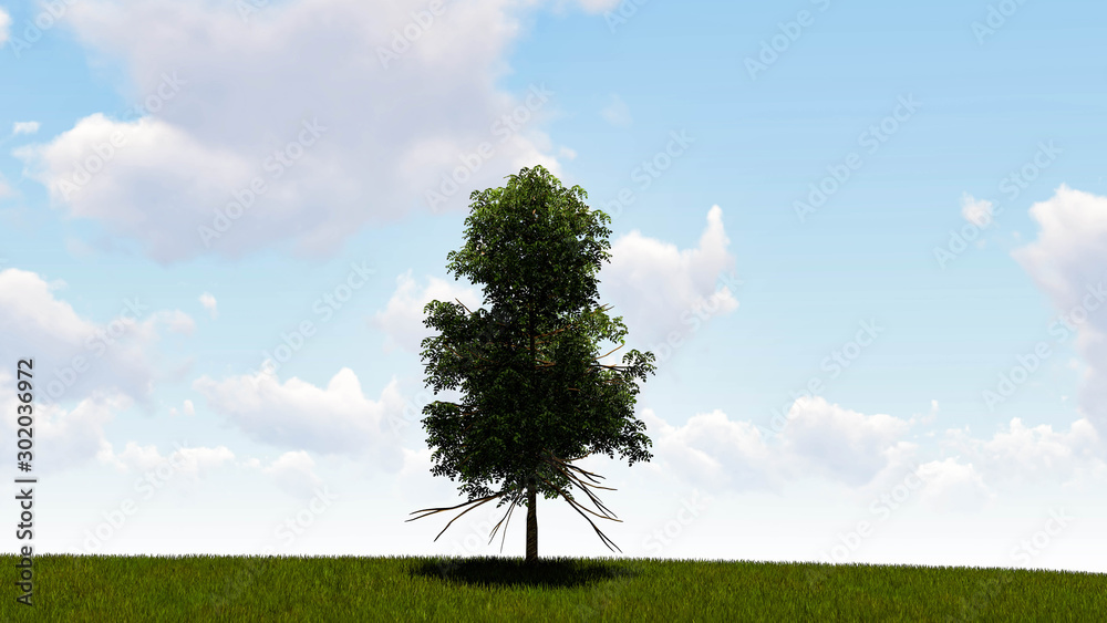 Fototapeta premium One Tree At Sky Background 3D Rendering