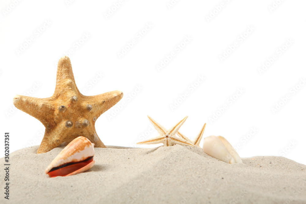 sand, shells and starfish isolated on white. place for text, travel, sea. sand, shells and starfish isolated on white. place for text, travel, sea.