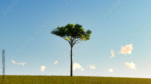 One Tree At Sky Background 3D Rendering