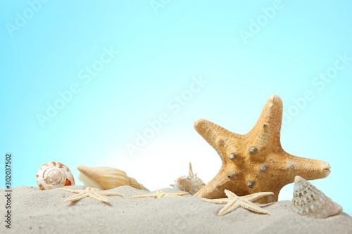sand, shells and starfish on a blue background with place for text. Vacations, sea, travel concept