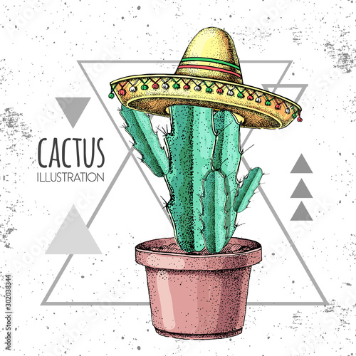 Hand drawing cactus in sombrero hat on grunge triangle background. Vector illustration