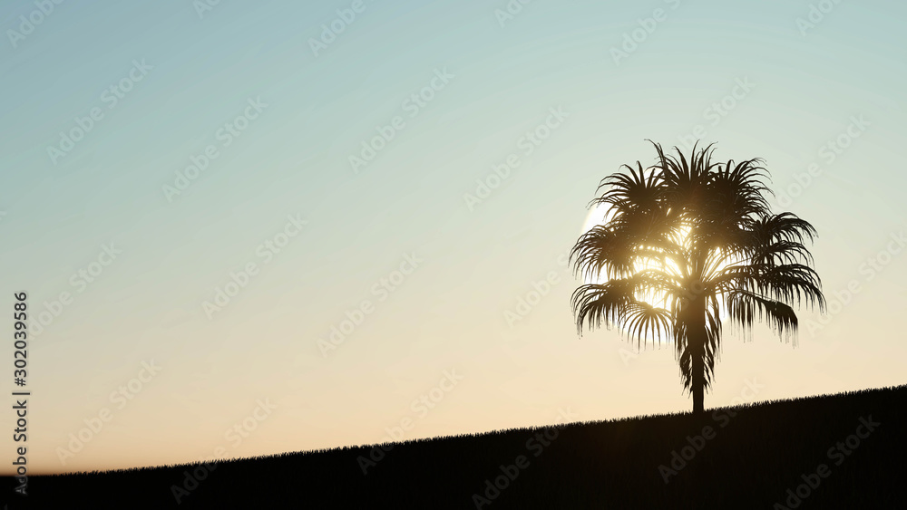 Palm trees silhouette on sunset 3D Rendering