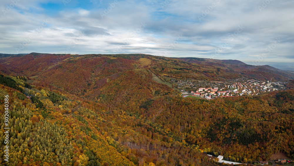 Naklejka premium Autumn colorfull forest aerial panorama