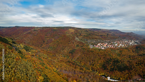Fototapeta Naklejka Na Ścianę i Meble -  Autumn colorfull forest aerial panorama