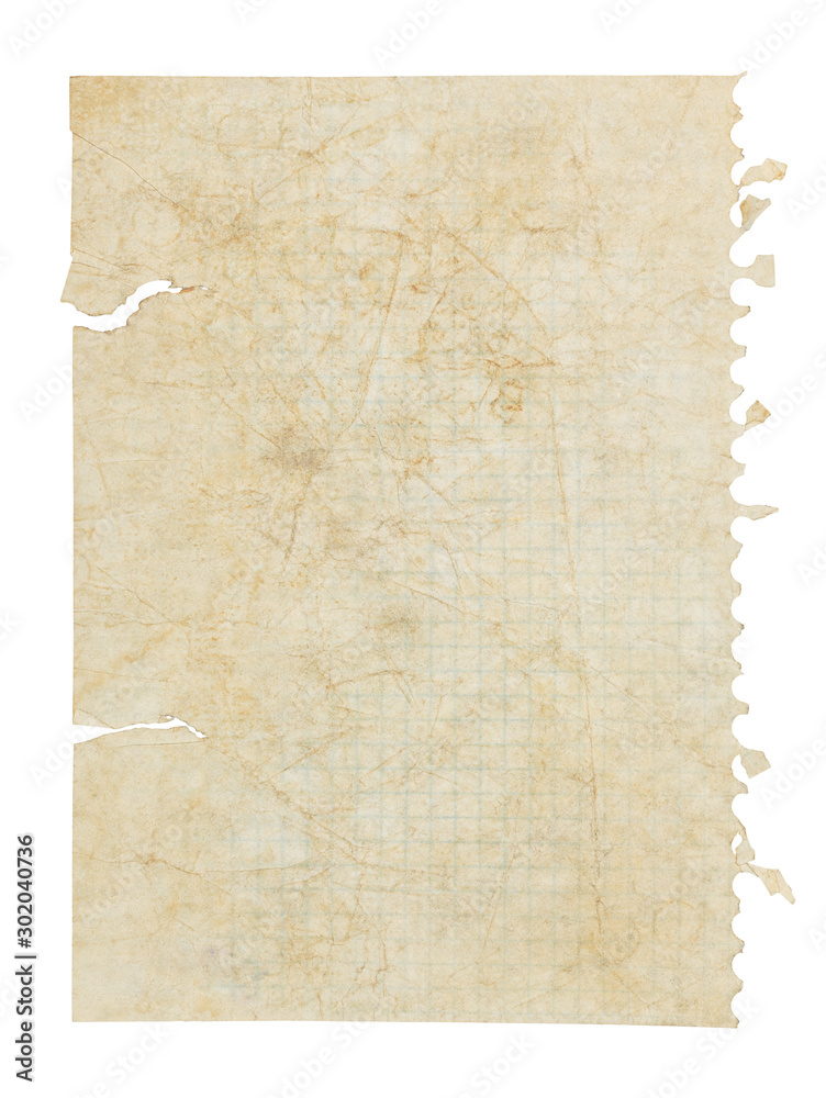 Torn distressed paper page from notebook