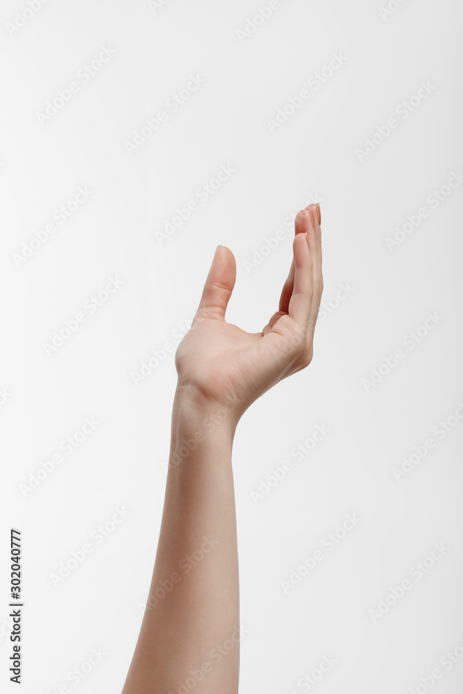 Female hand holding or taking something Female hand holding or taking something