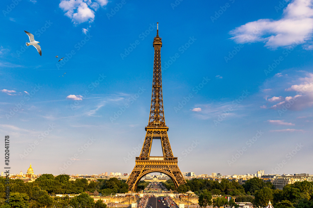 Fototapeta premium Eiffel tower in summer with flying birds, Paris, France. Scenic panorama of the Eiffel tower under the blue sky. View of the Eiffel Tower in Paris, France in a beautiful summer day. Paris, France.