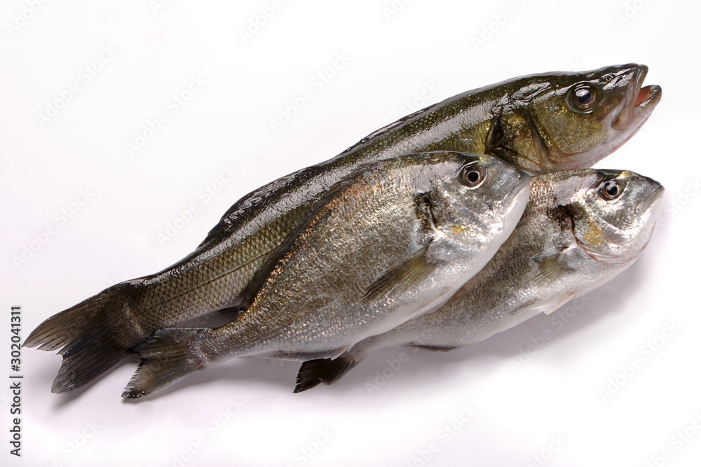 Naklejka premium Pesce