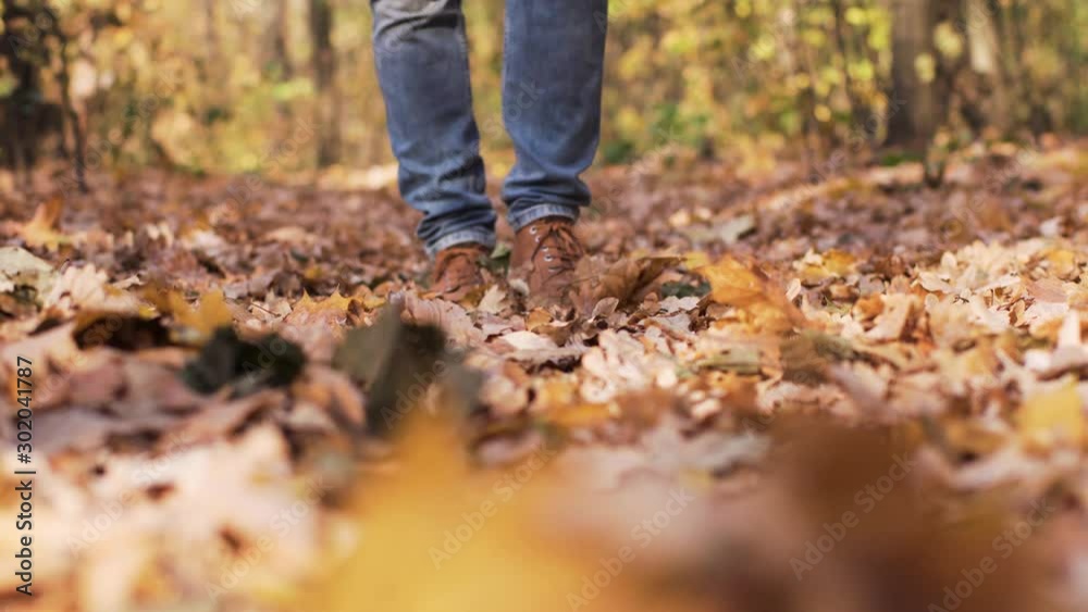 a man walks through autumn foliage a man walks through autumn foliage