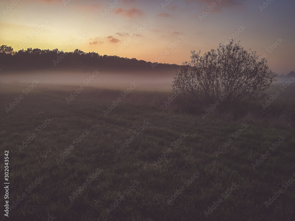 Landschaft im Nebel Landschaft im Nebel
