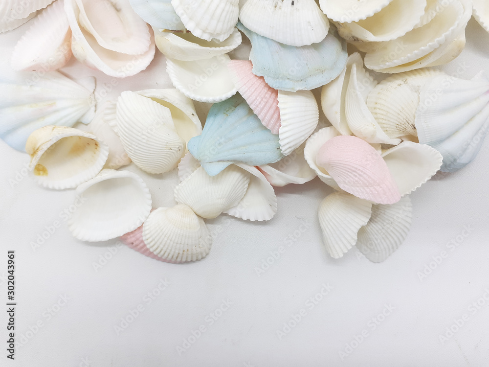 Clean Bright Colorful Elegant Beautiful Artistic Natural Seashells Set for Home Interior and Outdoor Decorative Elements in White Isolated Background Clean Bright Colorful Elegant Beautiful Artistic Natural Seashells Set for Home Interior and Outdoor Decorative Elements in White Isolated Background