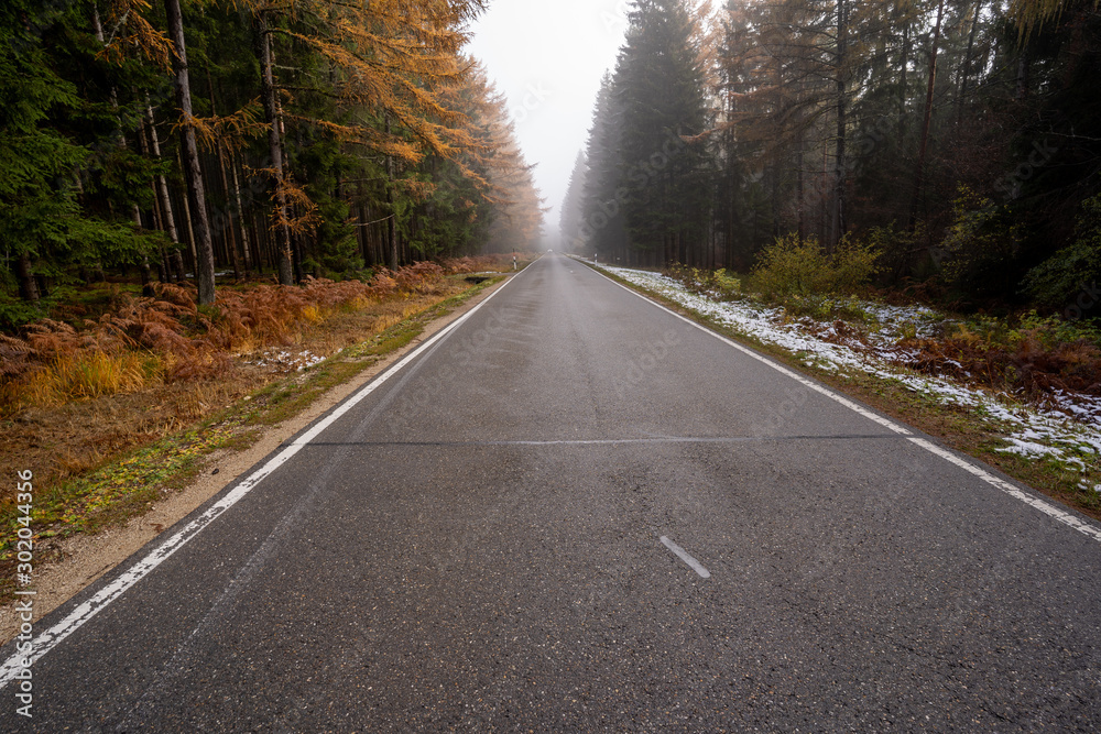 Fototapeta premium Landschaft um den Titisee - Schwarzwald
