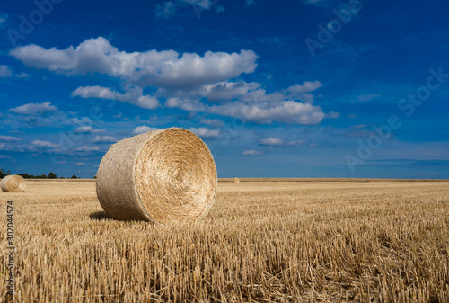 Canvas-taulu bales of hay
