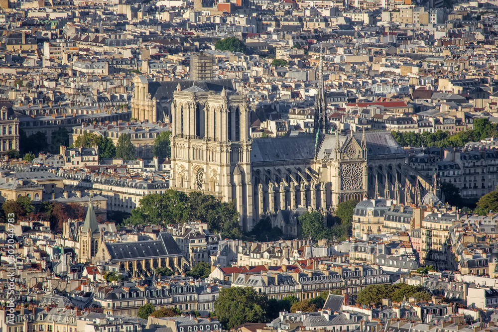 Aerial view of the Paris with Notre Dam cathedral
