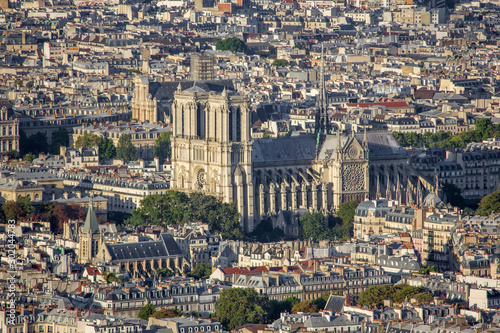 Aerial view of the Paris with Notre Dam cathedral