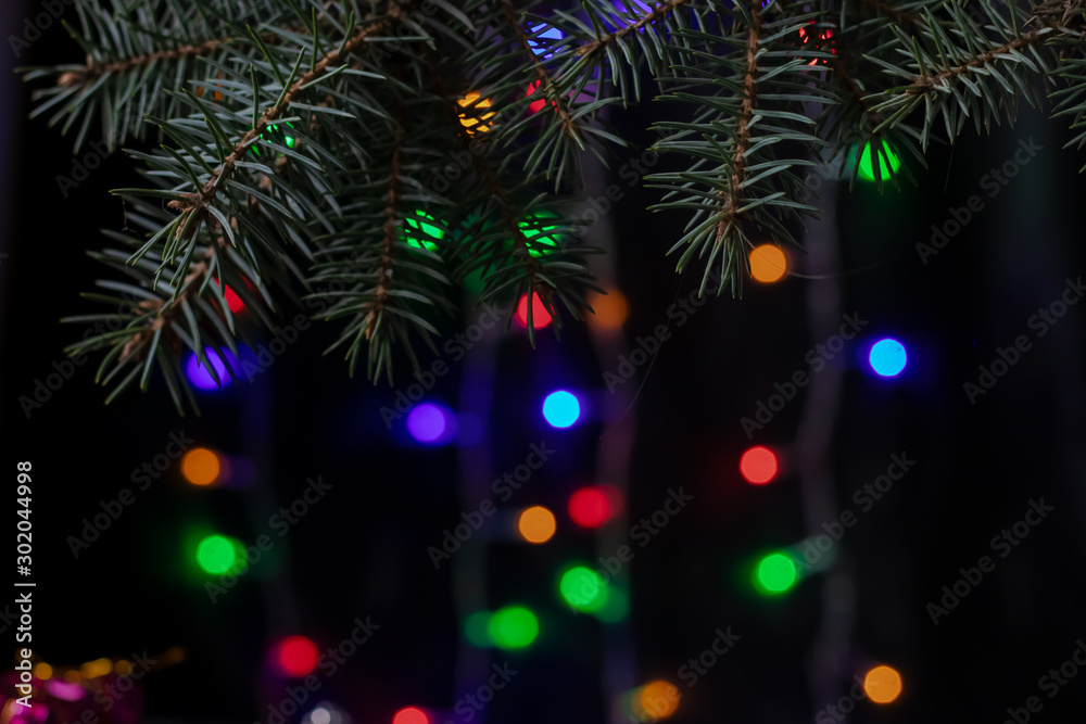 Christmas branch of spruce. New Year 2020. On a dark background bokeh