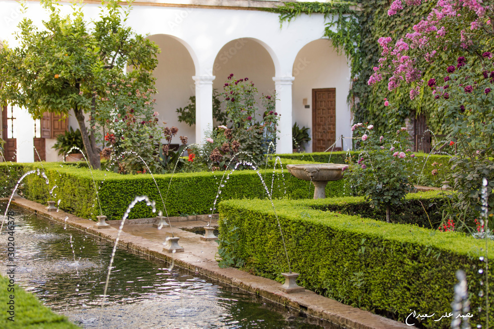 Gardens - Alhambra de Granada