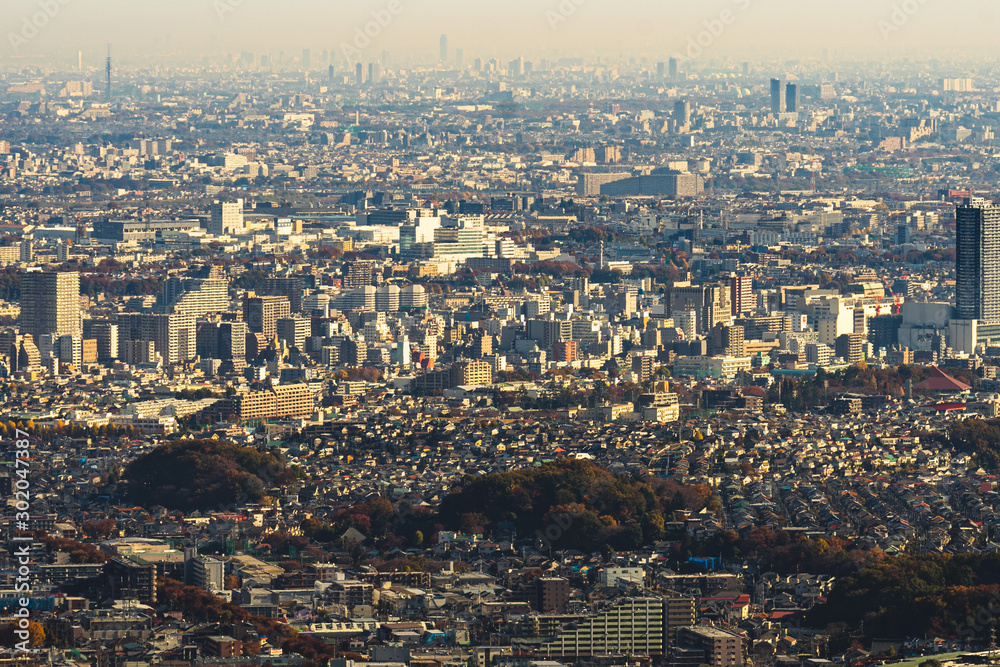 高尾山からの東京の眺め