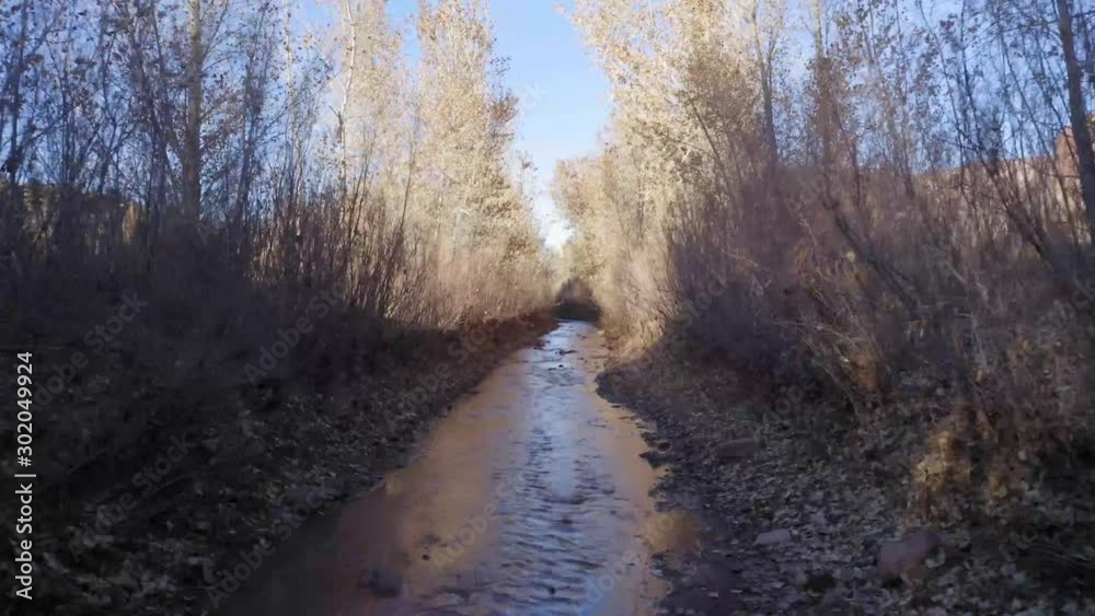 the creek is the road in the desert with fall colors the creek is the road in the desert with fall colors