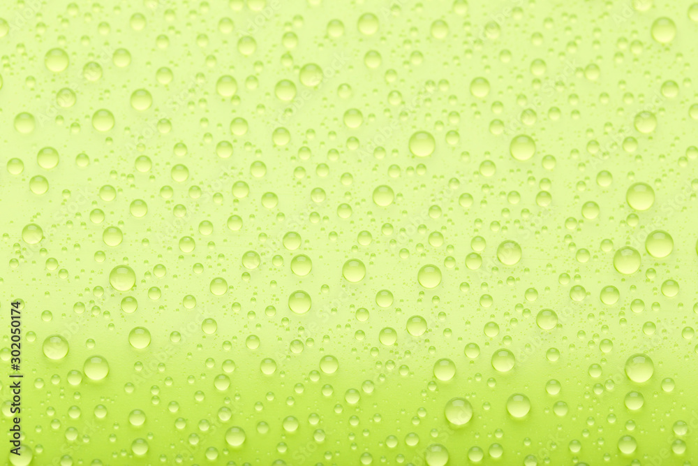 Water drops on green background