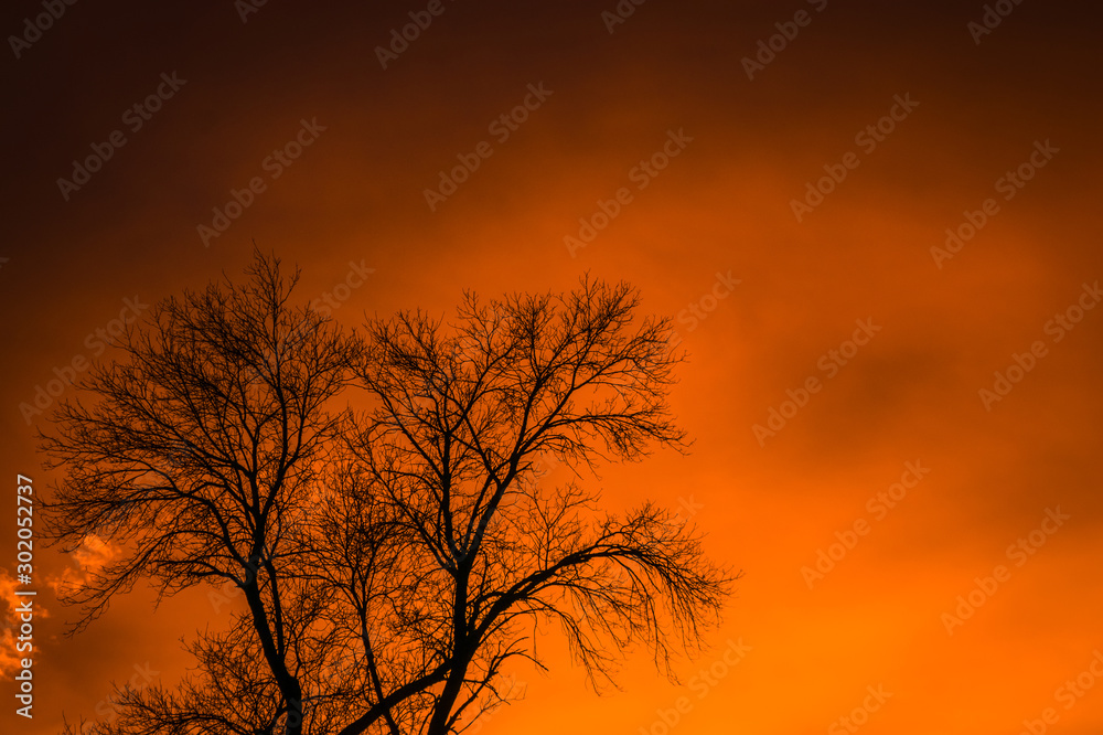 unbelievable sunset silhouette 