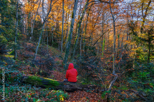 A man sits on a log in the autumn forest photo